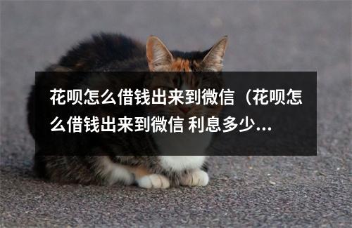 花呗怎么借钱出来到微信（花呗怎么借钱出来到微信 利息多少）