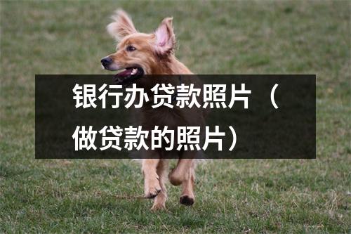 银行办贷款照片(做贷款的照片)