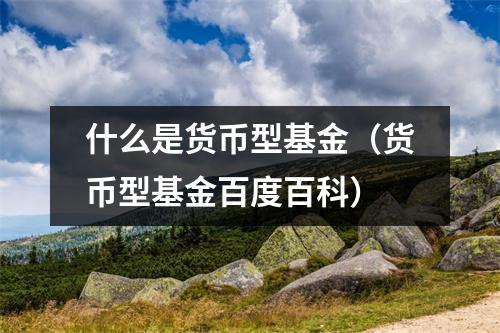 什么是货币型基金（货币型基金百度百科）