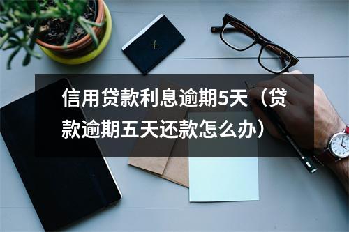 信用贷款利息逾期5天（贷款逾期五天还款怎么办）