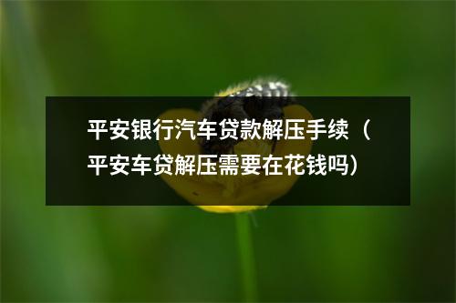 平安银行汽车贷款解压手续（平安车贷解压需要在花钱吗）