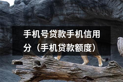 手机号贷款手机信用分（手机贷款额度）
