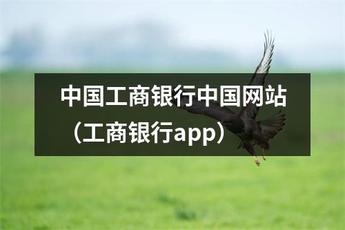 中国工商银行中国网站(工商银行app)