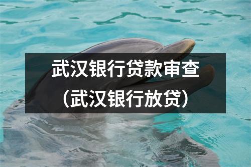 武汉银行贷款审查（武汉银行放贷）