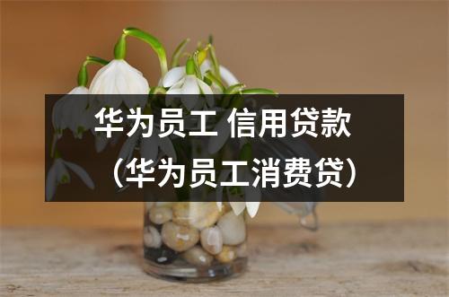 华为员工 信用贷款（华为员工消费贷）