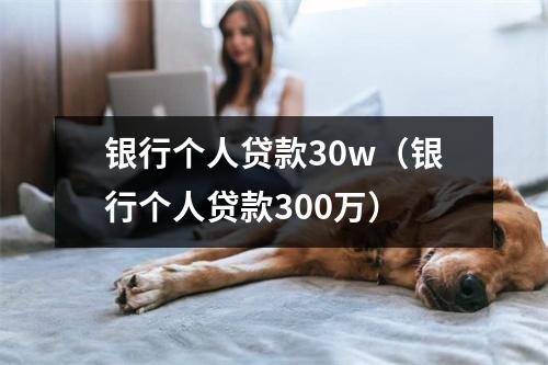 银行个人贷款30w（银行个人贷款300万）
