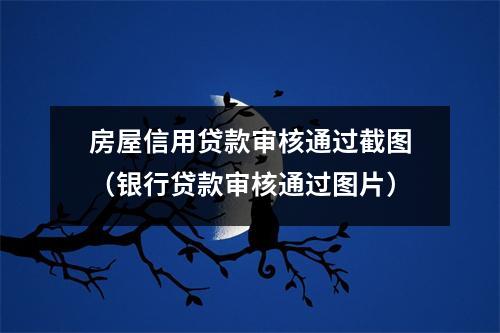 房屋信用贷款审核通过截图（银行贷款审核通过图片）