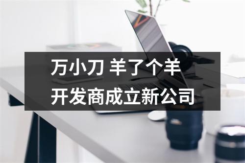 万小刀 羊了个羊开发商成立新公司