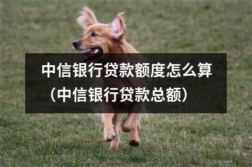 中信银行贷款额度怎么算（中信银行贷款总额）