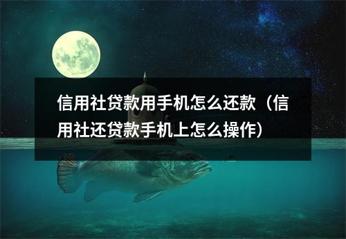 信用社贷款用手机怎么还款（信用社还贷款手机上怎么操作）