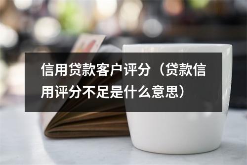 信用贷款客户评分（贷款信用评分不足是什么意思）