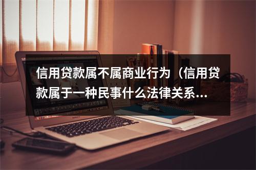 信用贷款属不属商业行为（信用贷款属于一种民事什么法律关系）