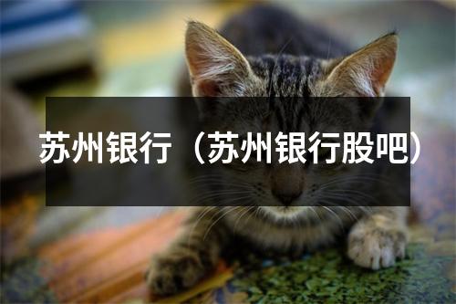 苏州银行（苏州银行股吧）