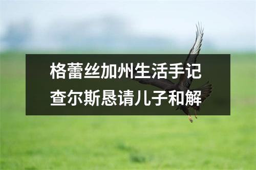 格蕾丝加州生活手记 查尔斯恳请儿子和解