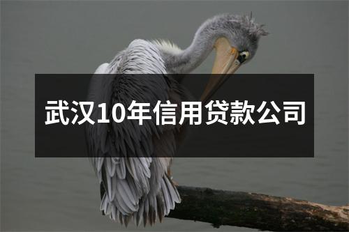 武汉10年信用贷款公司