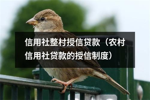 信用社整村授信贷款（农村信用社贷款的授信制度）