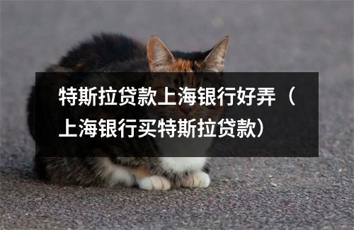 特斯拉贷款上海银行好弄（上海银行买特斯拉贷款）