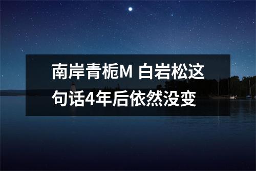 南岸青栀M 白岩松这句话4年后依然没变