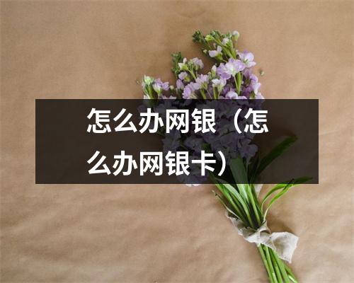 怎么办网银（怎么办网银卡）