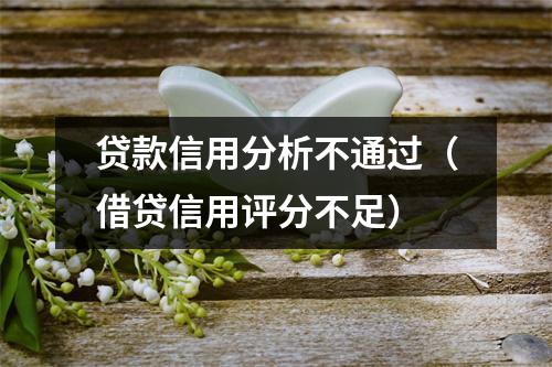 贷款信用分析不通过（借贷信用评分不足）