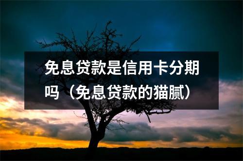 免息贷款是信用卡分期吗（免息贷款的猫腻）