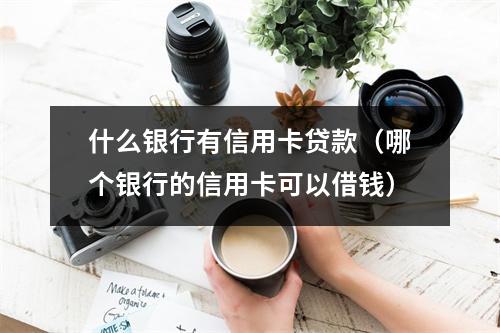 什么银行有信用卡贷款（哪个银行的信用卡可以借钱）