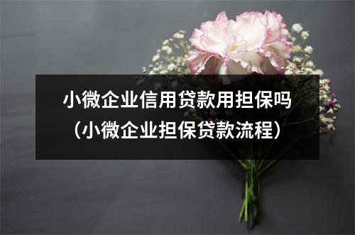 小微企业信用贷款用担保吗（小微企业担保贷款流程）