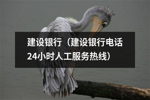 建设银行（建设银行电话24小时人工服务热线）