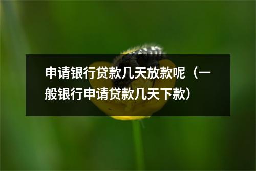 申请银行贷款几天放款呢（一般银行申请贷款几天下款）