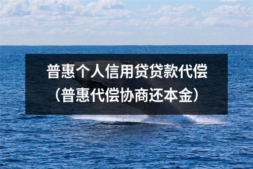 普惠个人信用贷贷款代偿（普惠代偿协商还本金）