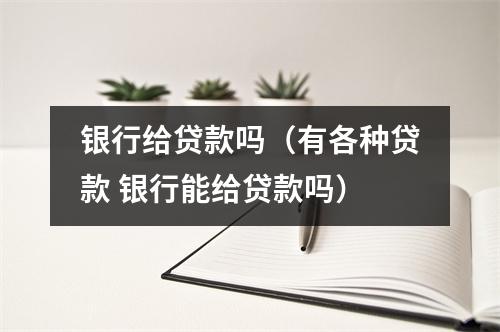 银行给贷款吗（有各种贷款 银行能给贷款吗）