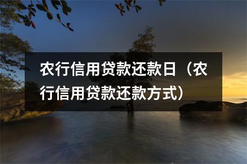 农行信用贷款还款日（农行信用贷款还款方式）