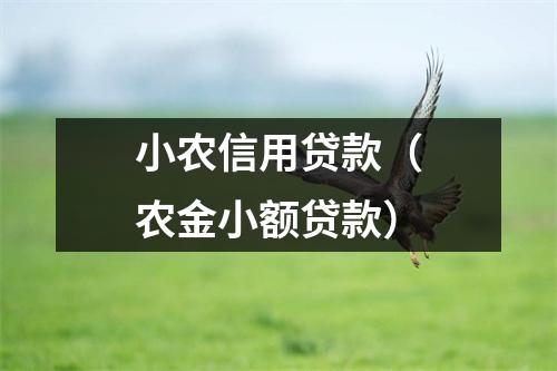 小农信用贷款(农金小额贷款)