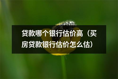 贷款哪个银行估价高(买房贷款银行估价怎么估)