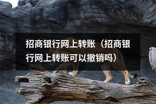 招商银行网上转账（招商银行网上转账可以撤销吗）