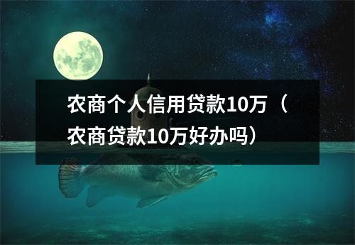 农商个人信用贷款10万（农商贷款10万好办吗）