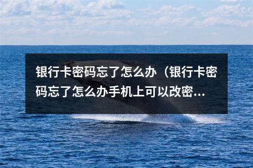 银行卡密码忘了怎么办（银行卡密码忘了怎么办手机上可以改密码吗）