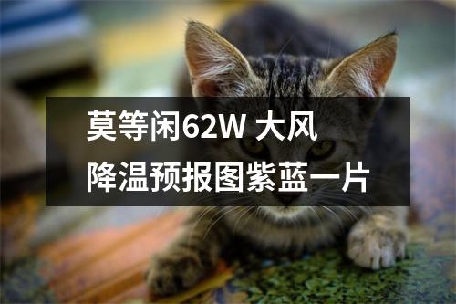 莫等闲62W 大风降温预报图紫蓝一片