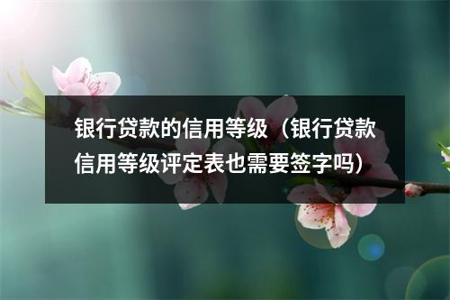 银行贷款的信用等级（银行贷款信用等级评定表也需要签字吗）