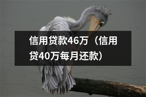信用贷款46万（信用贷40万每月还款）