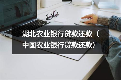 湖北农业银行贷款还款（中国农业银行贷款还款）