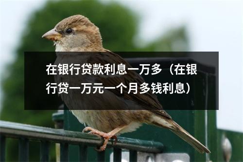 在银行贷款利息一万多（在银行贷一万元一个月多钱利息）