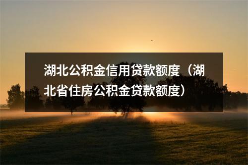 湖北公积金信用贷款额度（湖北省住房公积金贷款额度）