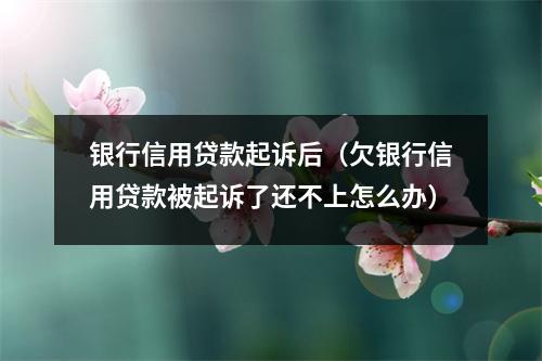 银行信用贷款起诉后（欠银行信用贷款被起诉了还不上怎么办）