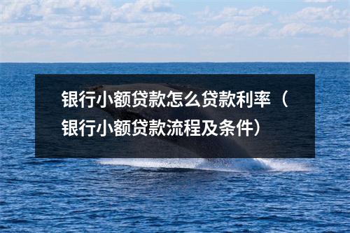银行小额贷款怎么贷款利率（银行小额贷款流程及条件）