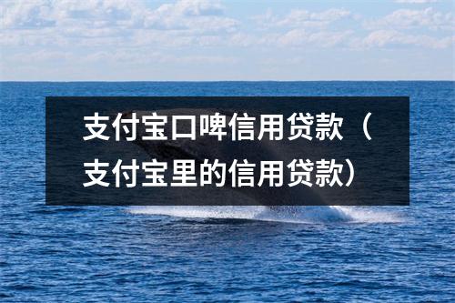支付宝口啤信用贷款（支付宝里的信用贷款）