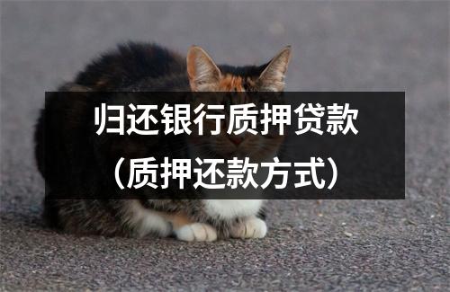 归还银行质押贷款（质押还款方式）