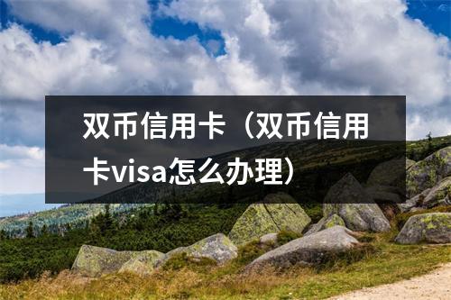 双币信用卡（双币信用卡visa怎么办理）