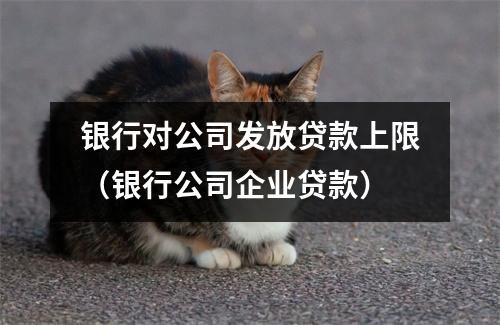 银行对公司发放贷款上限(银行公司企业贷款)