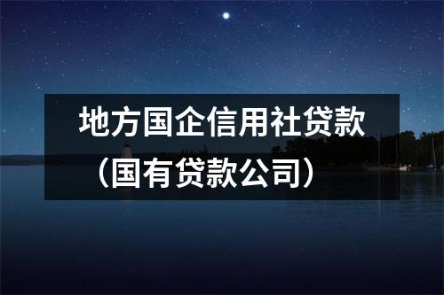 地方国企信用社贷款（国有贷款公司）
